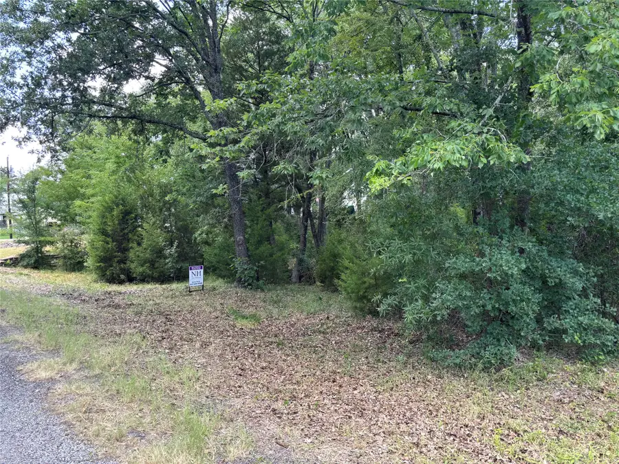 6132 Tejas Drive, Mabank, TX 75156 - #2