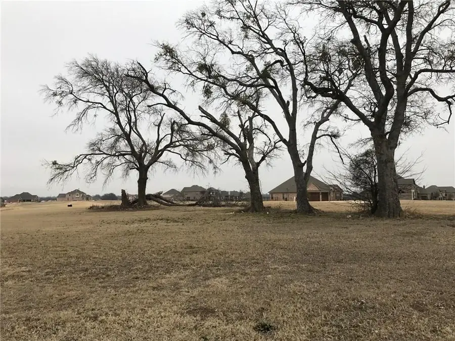 1922 Running Deer Lane, Gunter, TX 75058 - #3