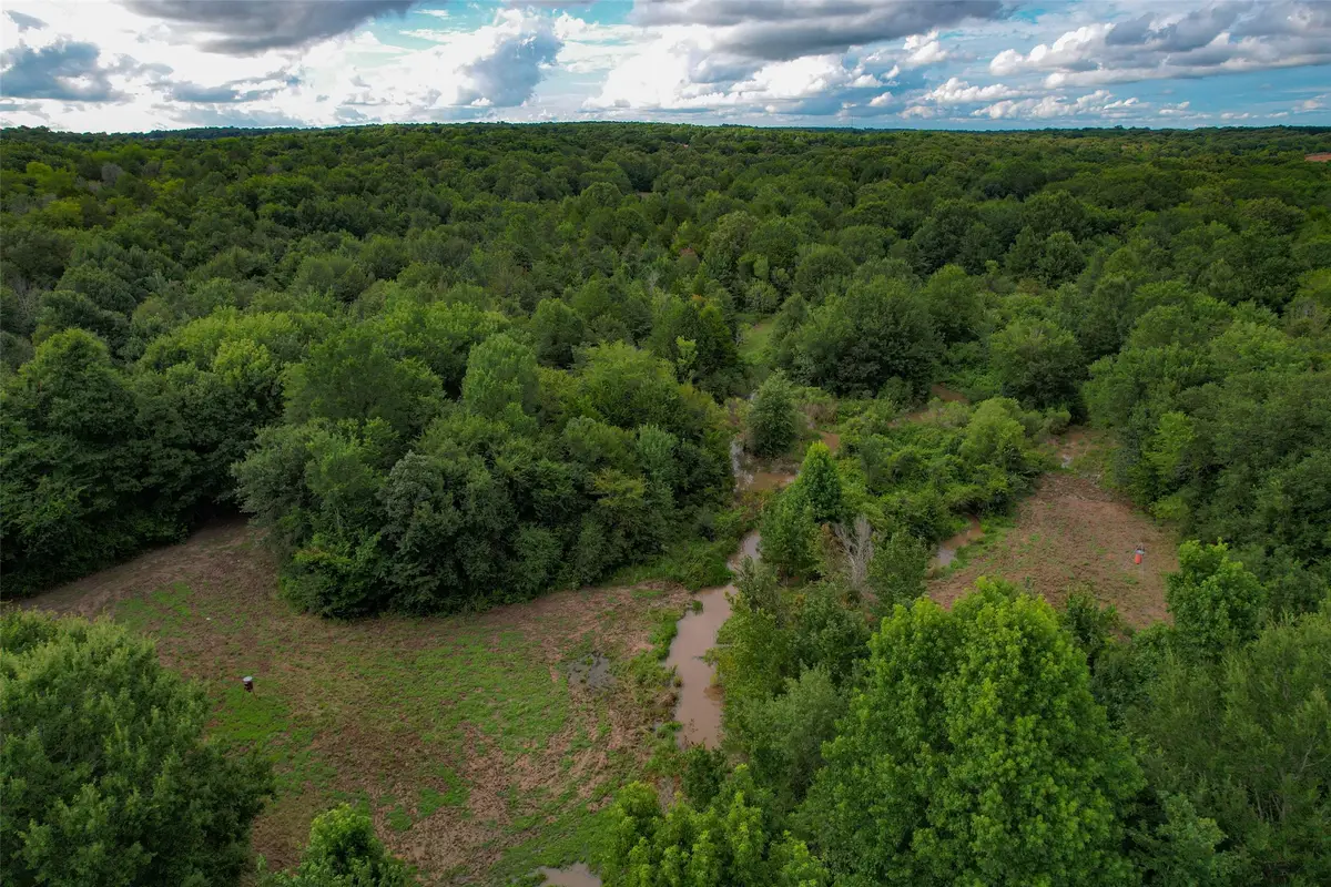 8690 County Road 1119, Athens, TX 75751 - #1