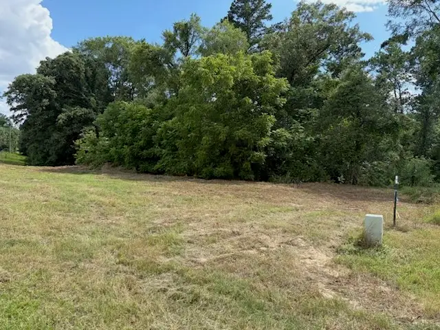 TBD Cypress Creek Drive, Diana, TX 75640 - #2