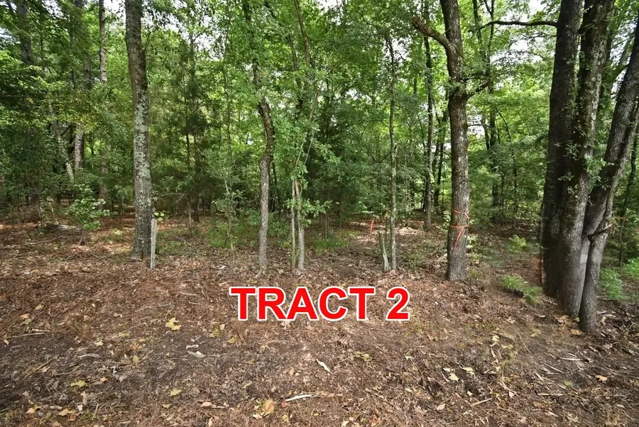 Tract 2 County Road 3117, Clarksville, TX 75426 - #3
