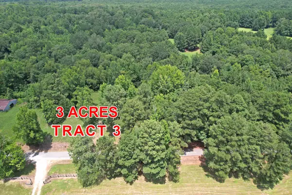 Tract 3 County Road 3117, Clarksville, TX 75426
