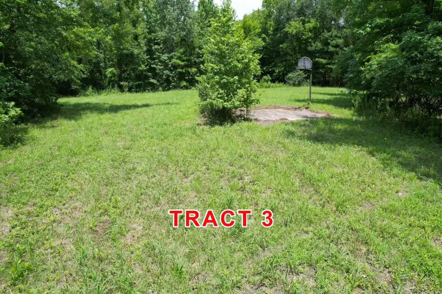 Tract 3 County Road 3117, Clarksville, TX 75426 - #3