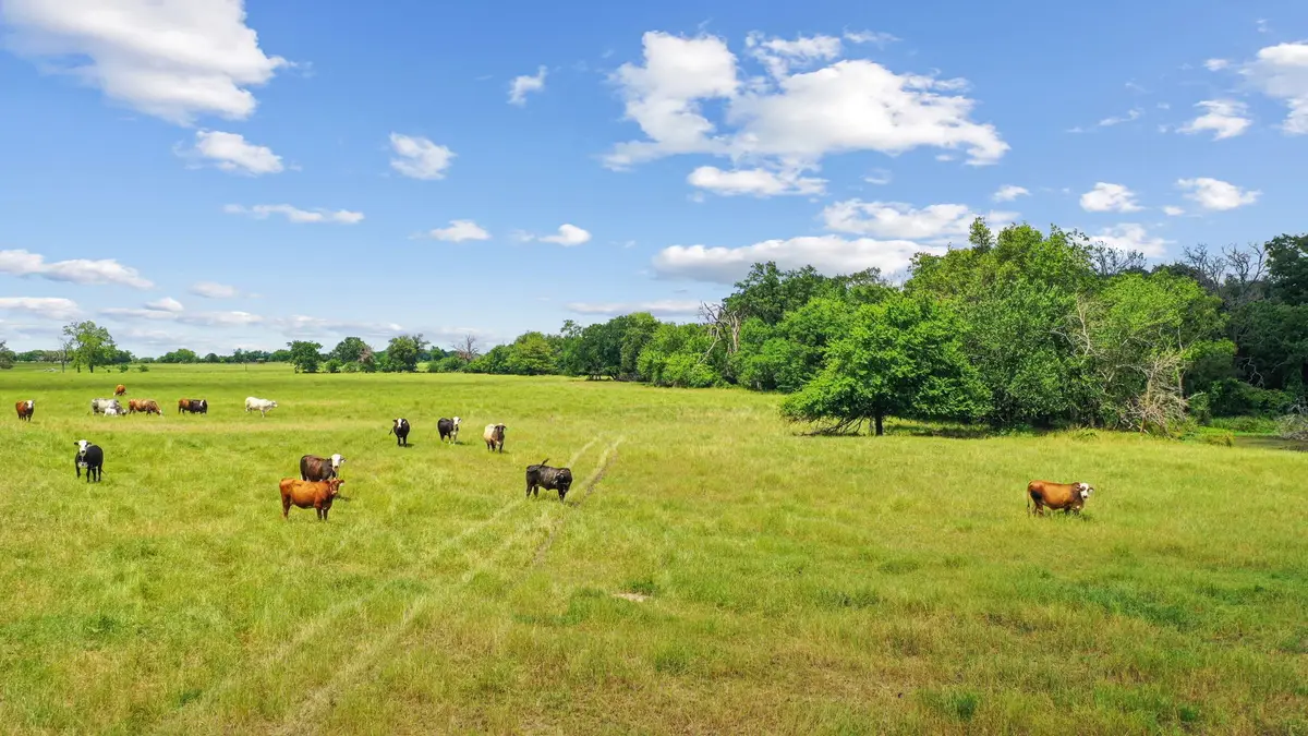 1080 Grand Oaks Ranch Road, Greenville, TX 75401 - #1