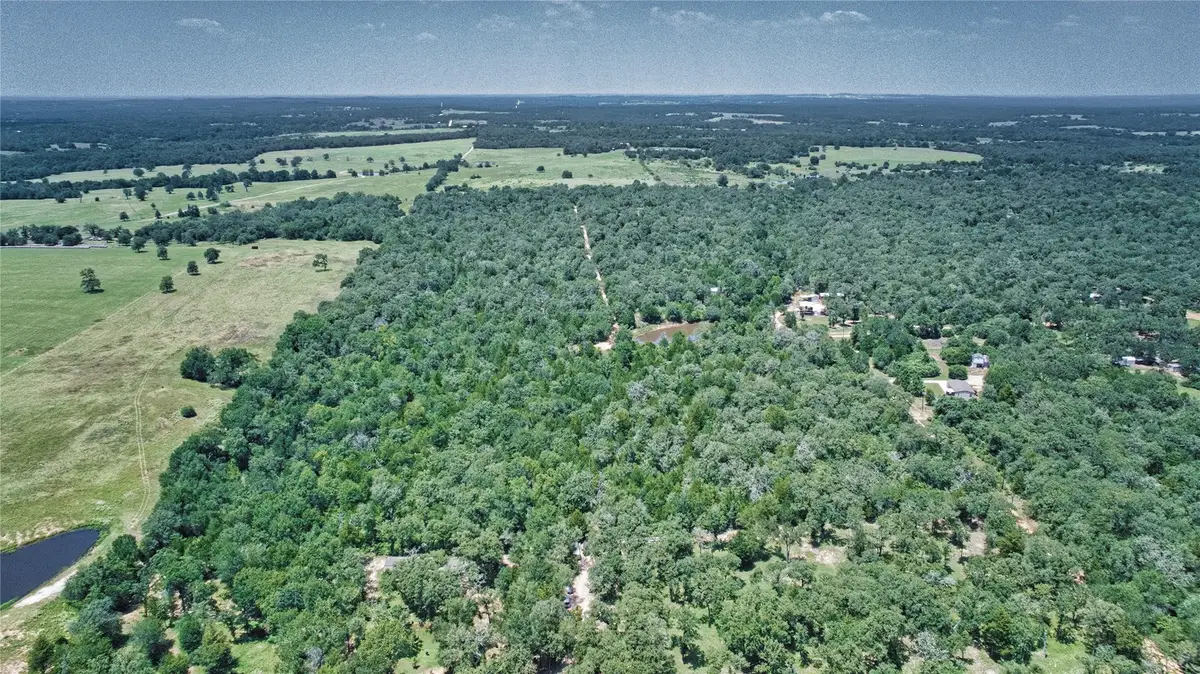 801 Starlight Path Road, Caldwell, TX 77836 - #1