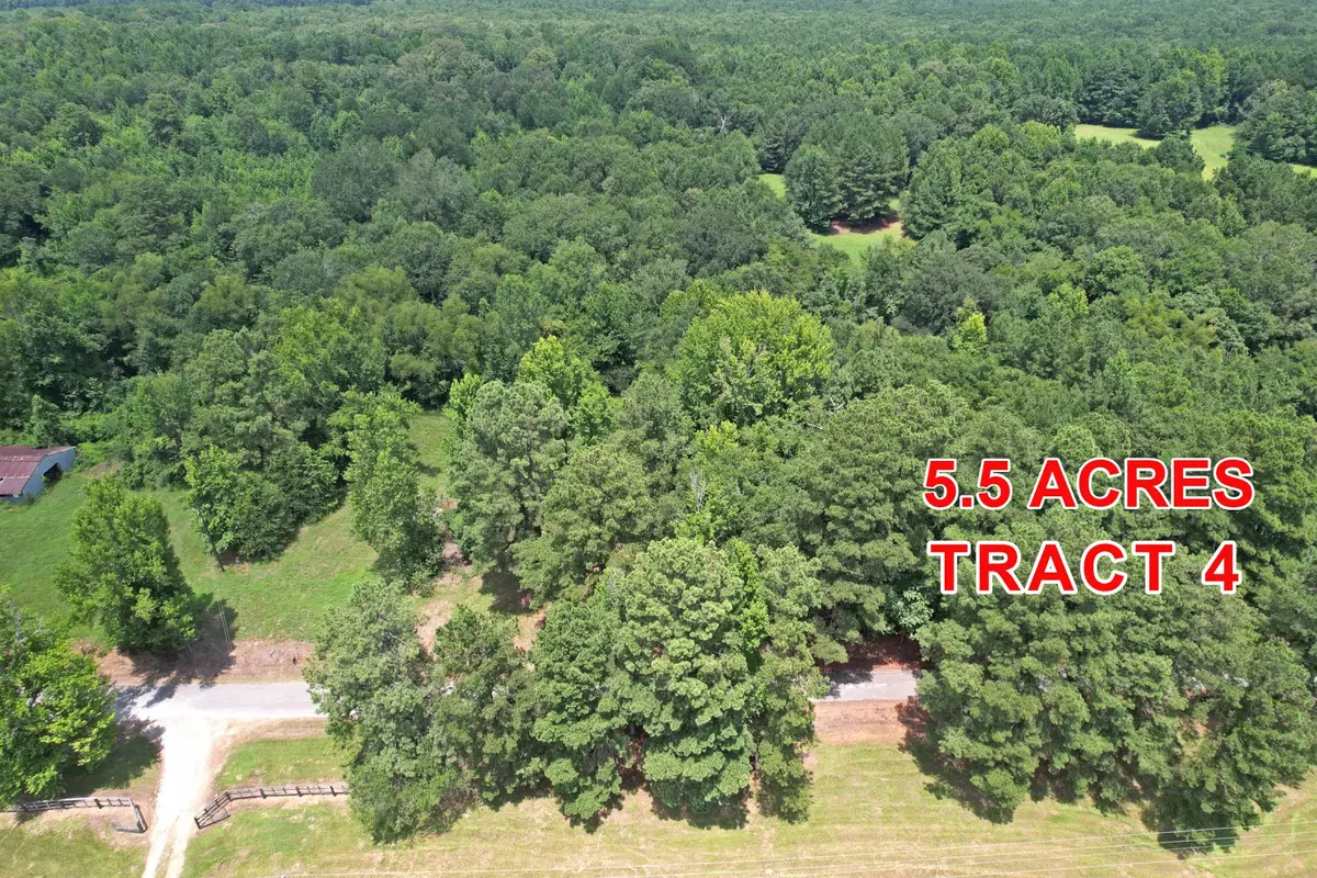 Tract 4 County Road 3117, Clarksville, TX 75426 - #1