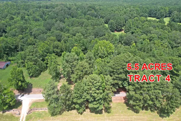 Tract 4 County Road 3117, Clarksville, TX 75426