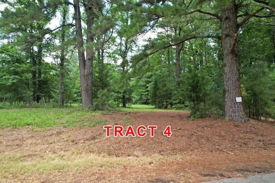 Tract 4 County Road 3117, Clarksville, TX 75426 - #3