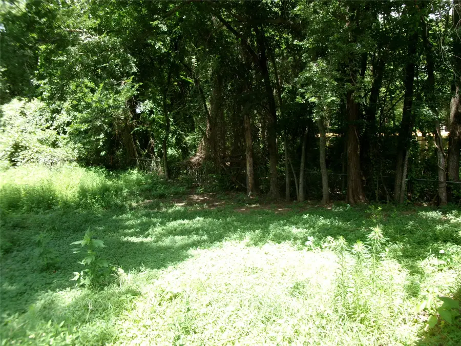 204 Maxwell Street, Sulphur Springs, TX 75482 - #3