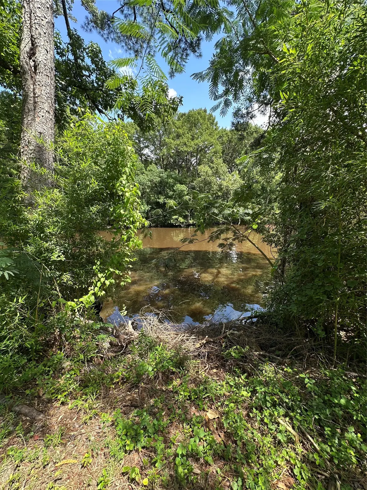 0 Horseshoe Loop, Doyline, LA 71023 - #1