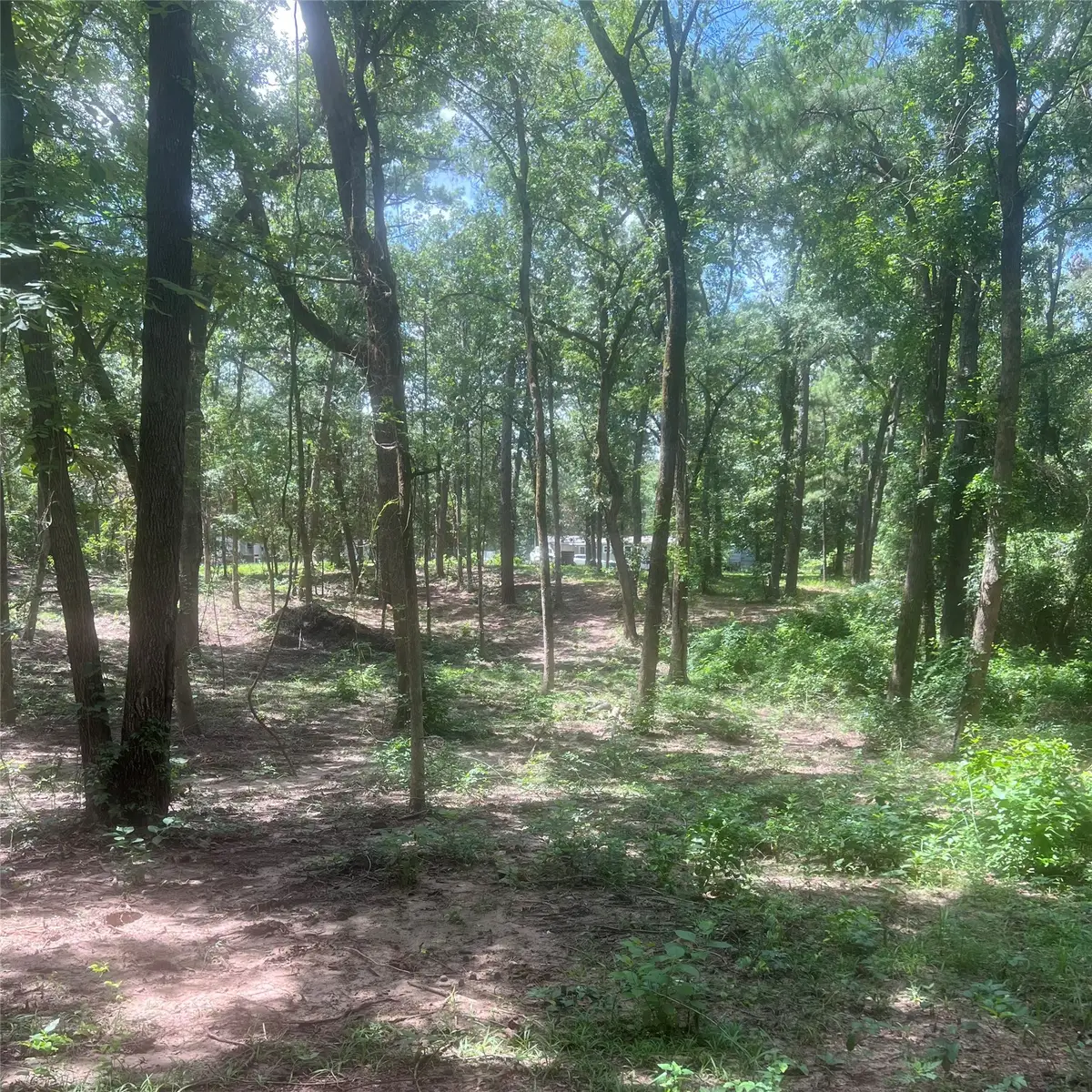 TBD Azalea Lane, Mount Vernon, TX 75457 - #1