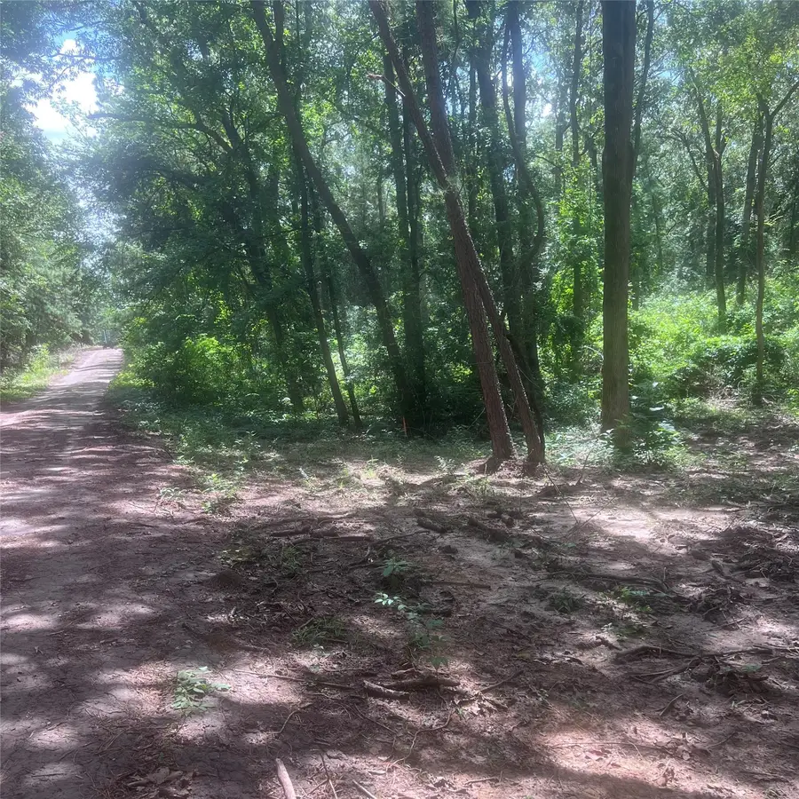 TBD Azalea Lane, Mount Vernon, TX 75457 - #3