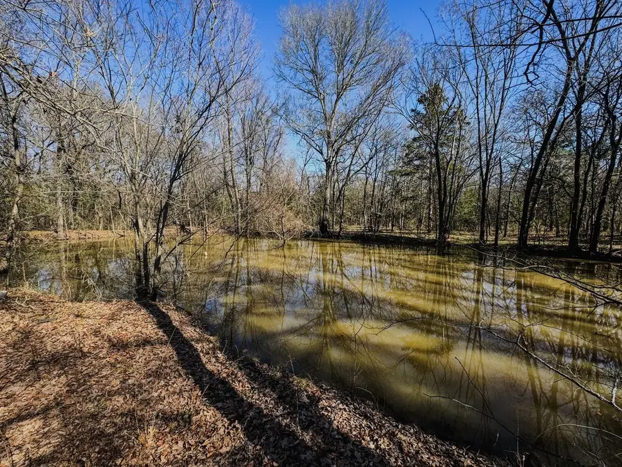 6966 County Road 3512, Quinlan, TX 75474 - #3