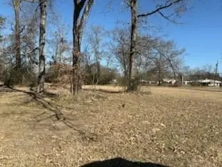 00 S Fm 314 Highway, Van, TX 75790 - #2
