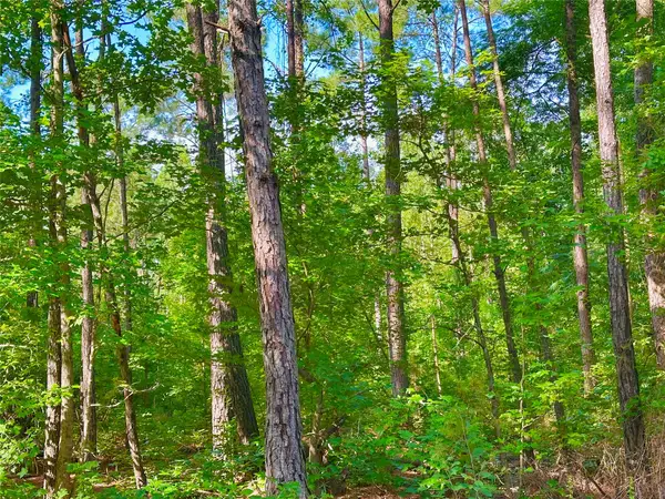 00 Hwy 808, Haynesville, LA 71038
