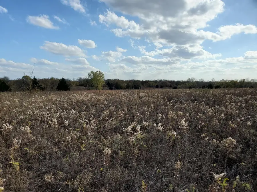 TBD Hagerman, Pottsboro, TX 75076 - #3