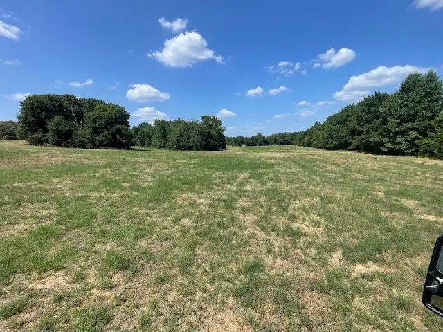 TBD Vz County Road 2316, Canton, TX 75103 - #3