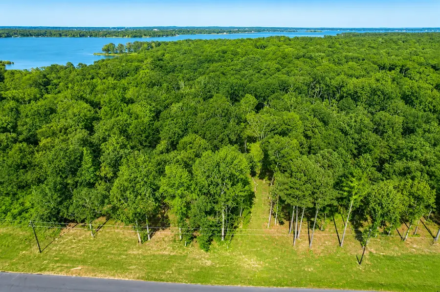 3234 Shadow Pine Drive, Larue, TX 75770 - #2