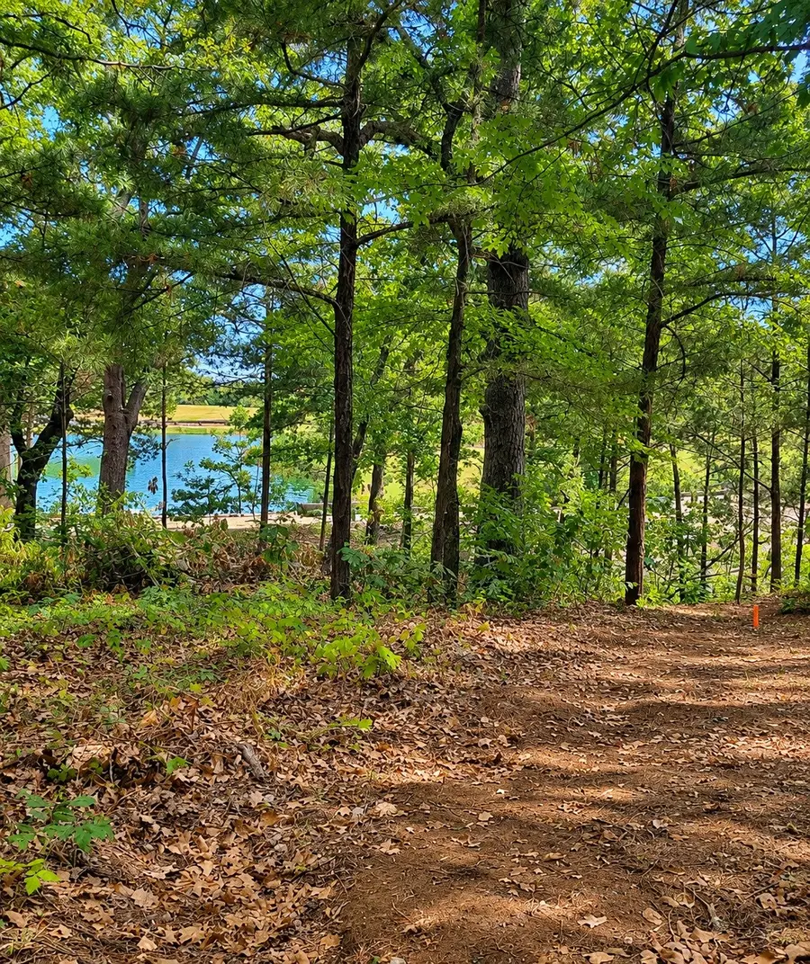 280 Roaring Fork Circle, Gordonville, TX 76245 - #2