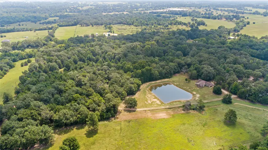 253 County Road 2412, Pickton, TX 75471 - #3