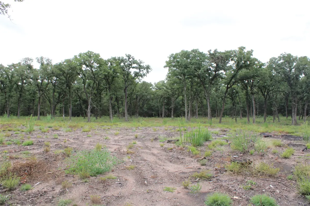 TBD Tokio Loop, West, TX 76691 - #1
