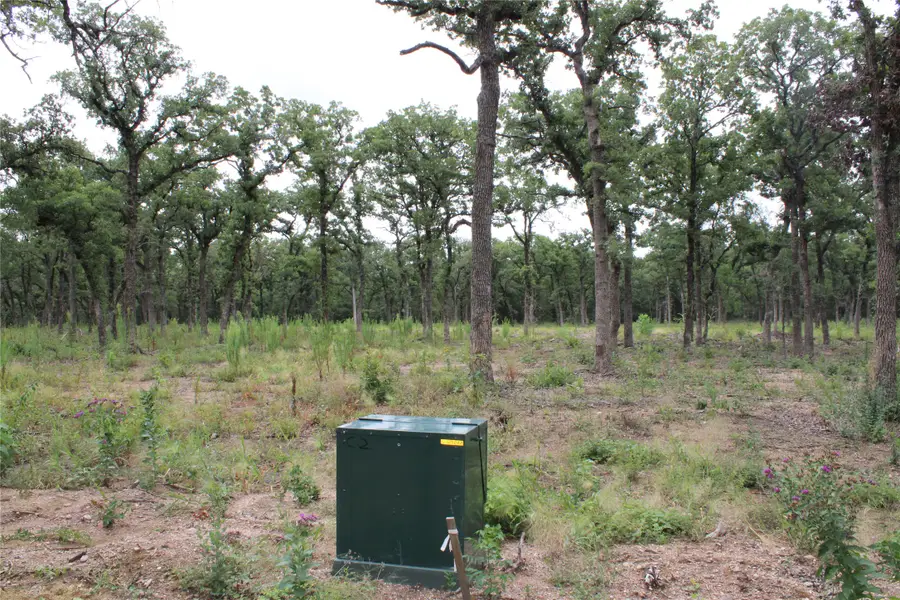 TBD Tokio Loop, West, TX 76691 - #2