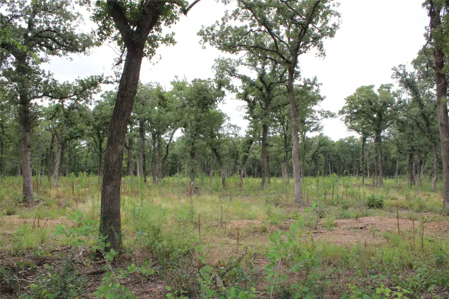 TBD Tokio Loop, West, TX 76691 - #3
