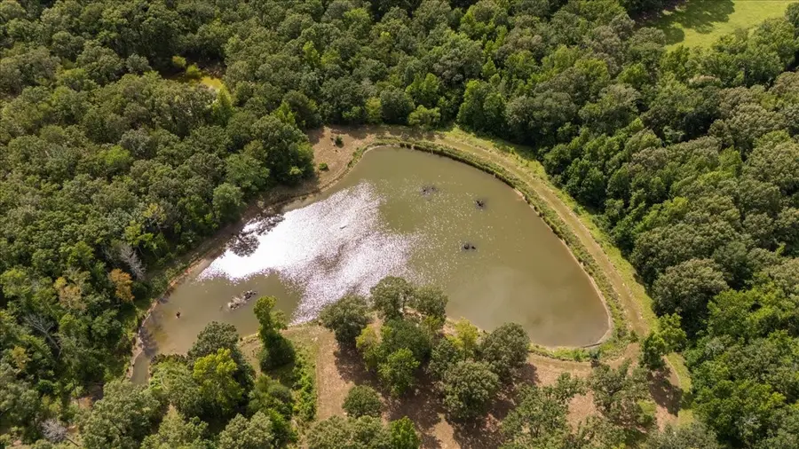 1522 Fm 17, Grand Saline, TX 75140 - #3