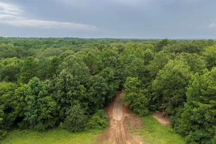 00 County Road 950, Cushing, TX 75760 - #3
