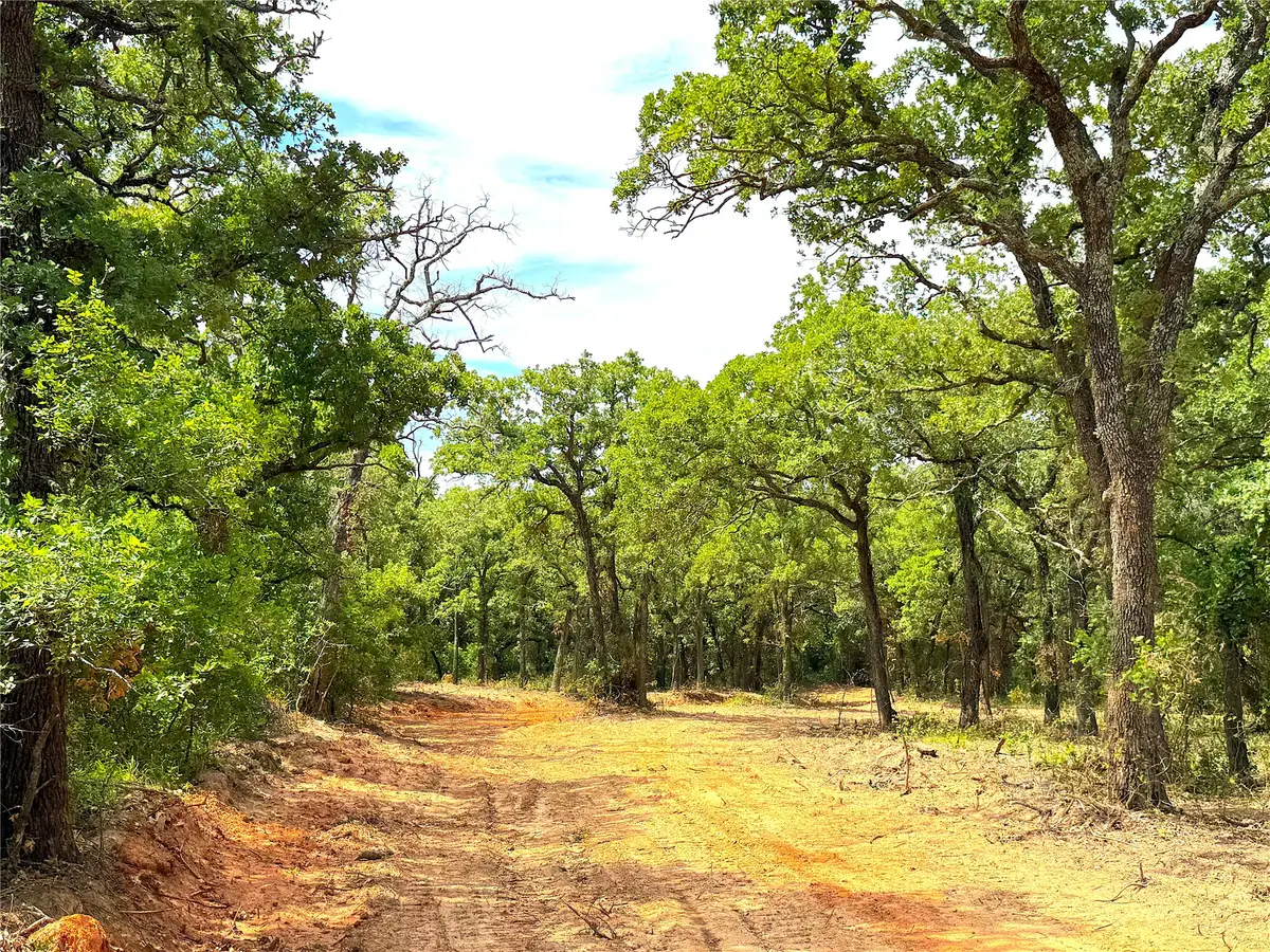TBD Turpin Lake Road, Poolville, TX 76487 - #1