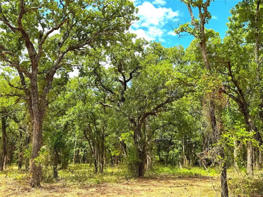 TBD Turpin Lake Road, Poolville, TX 76487 - #2