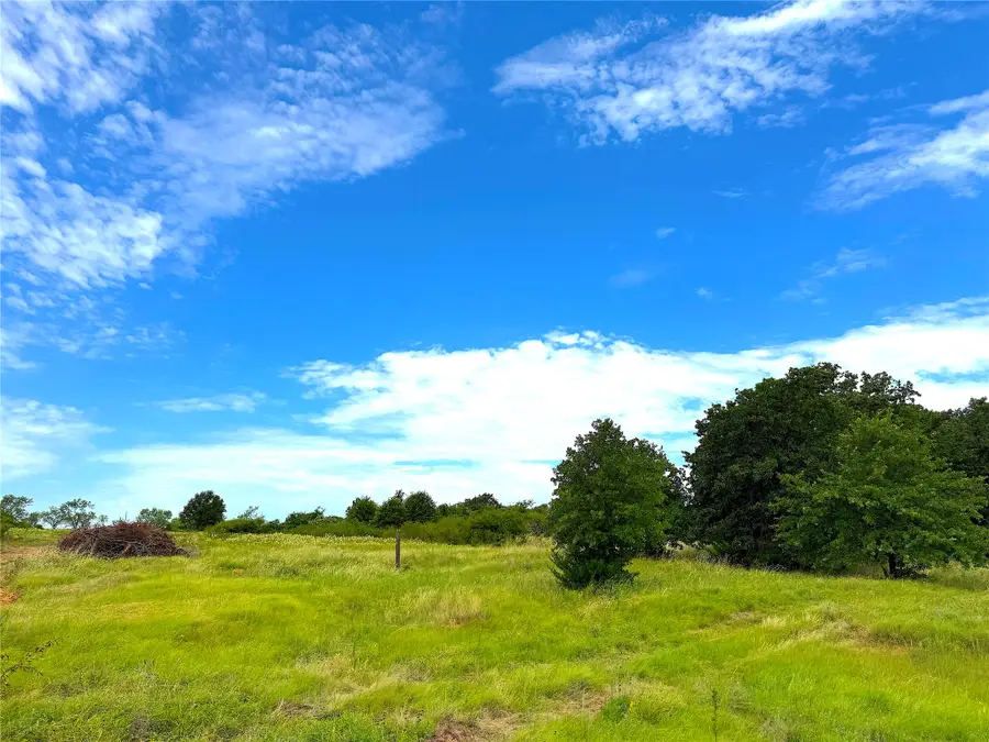 TBD Turpin Lake Road, Poolville, TX 76487 - #3