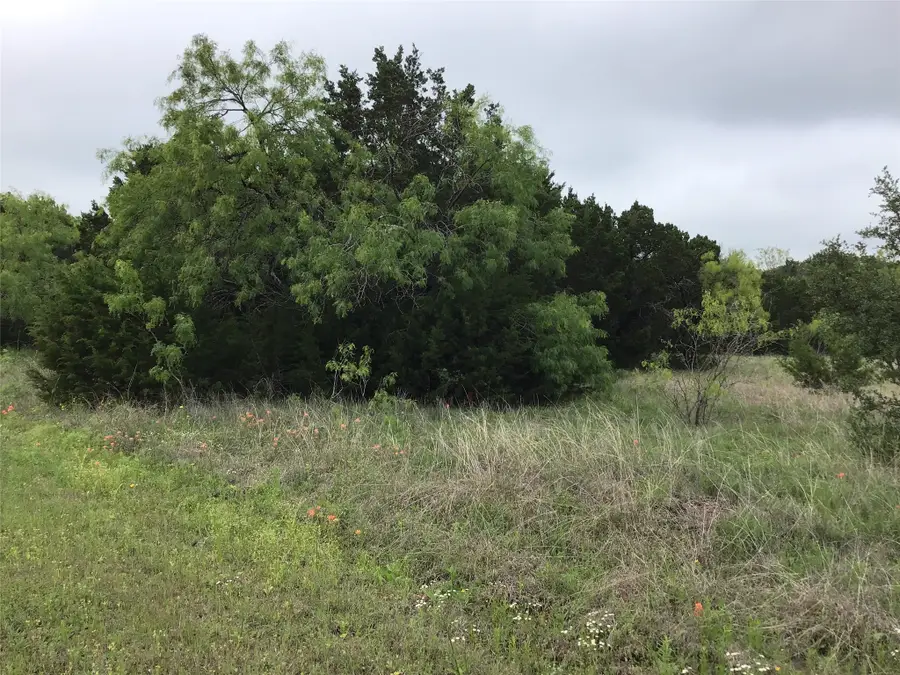 44163 High Crest Drive, Whitney, TX 76692 - #3