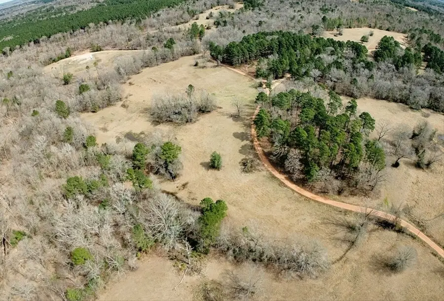 1425 State Highway 300, Gilmer, TX 75645 - #2