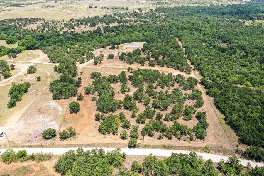 16.5 Acres Burwick Road, Jacksboro, TX 76458 - #3