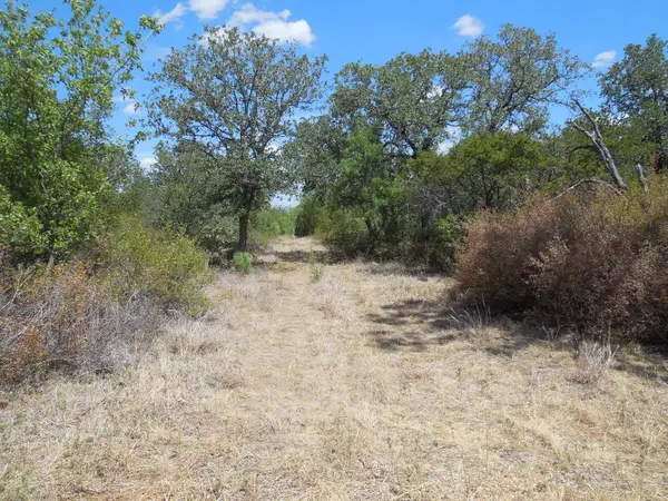 TBD 10 Acres Cr 136, Ranger, TX 76470