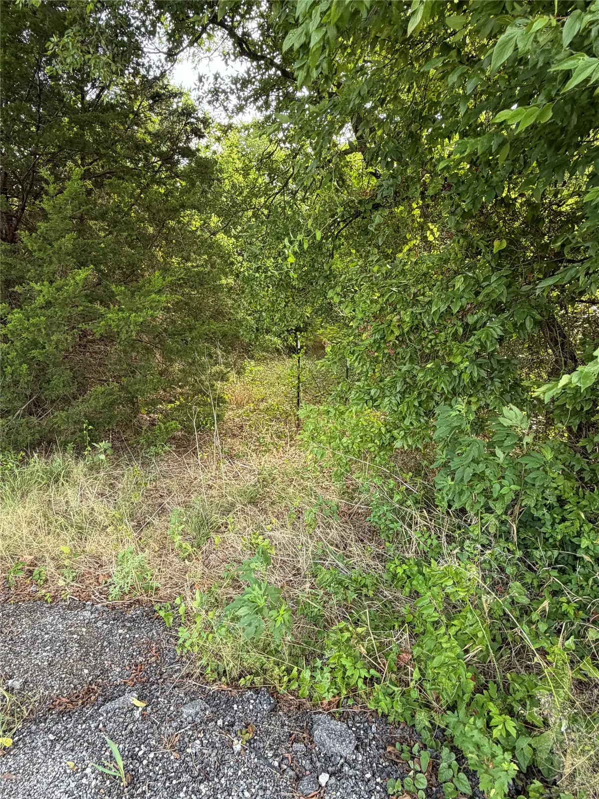 11601 County Road 103, Grandview, TX 76050 - #1