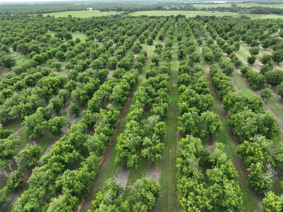 TBD Cr 424, Comanche, TX 76442 - #3