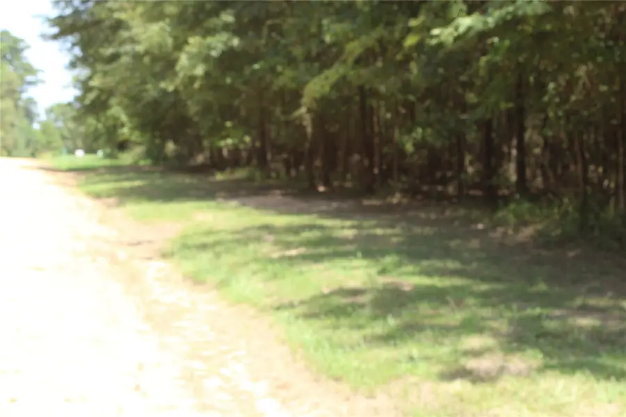0 Collier Trail, Lewisville, AR 71845 - #3