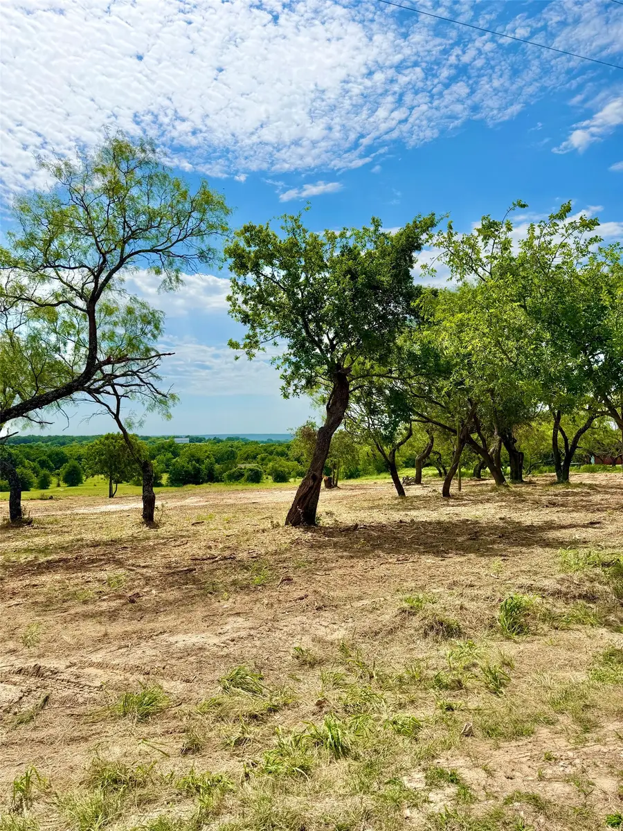 TBA County Road 3848, Poolville, TX 76487 - #3
