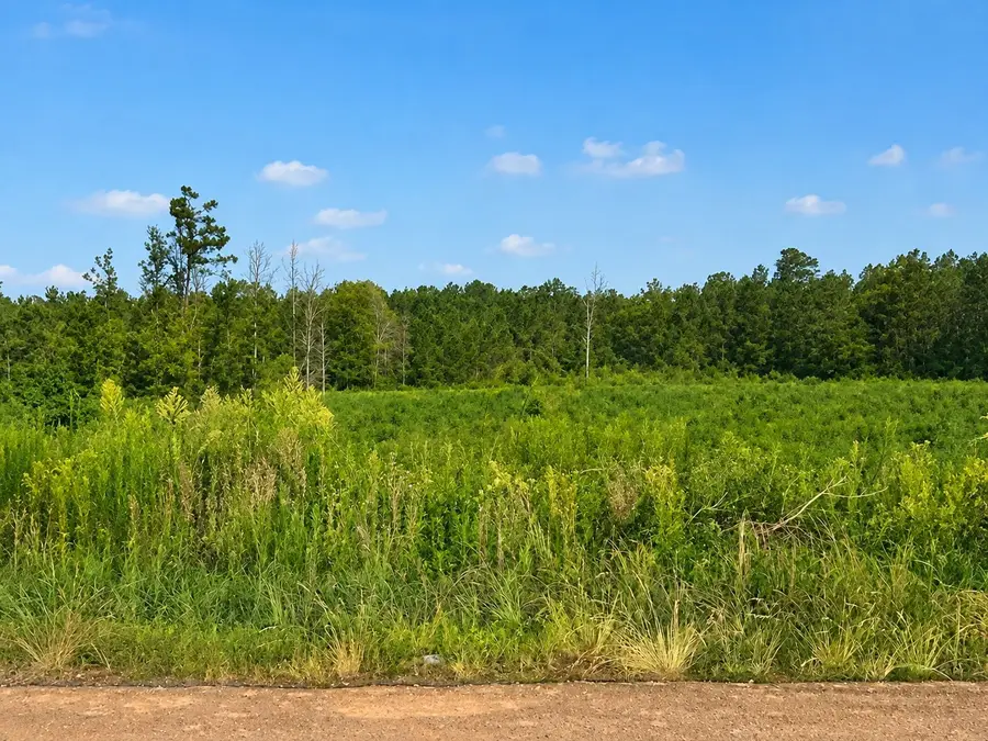 0 Bob Wilson Road, Pelican, LA 71063 - #2