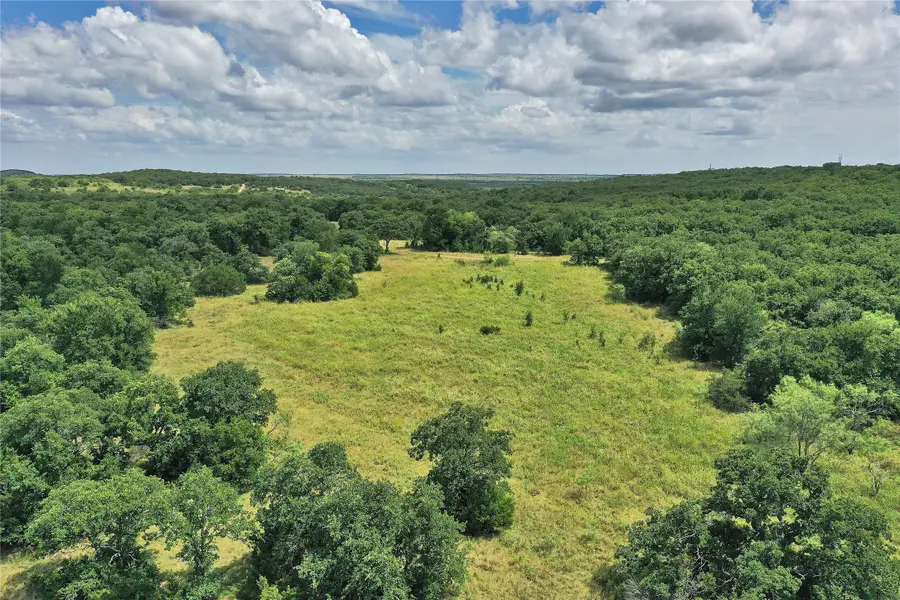 157 Acres Nash Road, Jacksboro, TX 76458 - #3