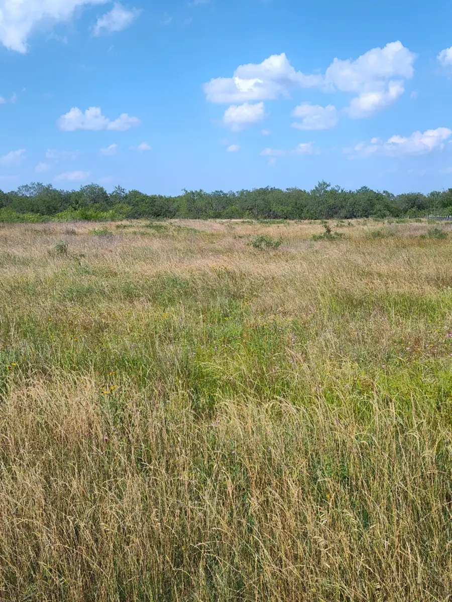 49 Boren Private Rd, Wortham, TX 76693 - #2