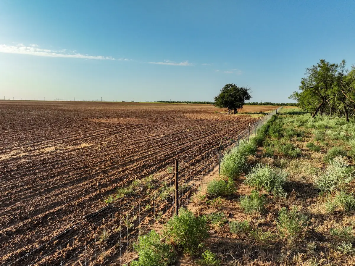 80 4220 County Road, Knox City, TX 79529 - #1