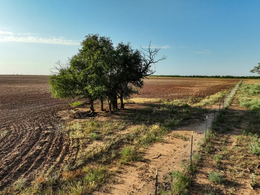 80 4220 County Road, Knox City, TX 79529 - #2