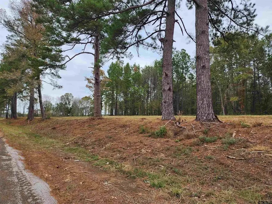 14442 Cr-363, Winona, TX 75792 - #3