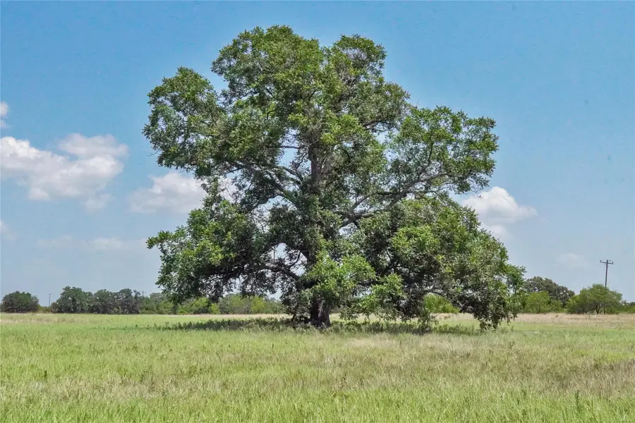 71.63 Acres Slusher Rd, Jacksboro, TX 76458 - #2