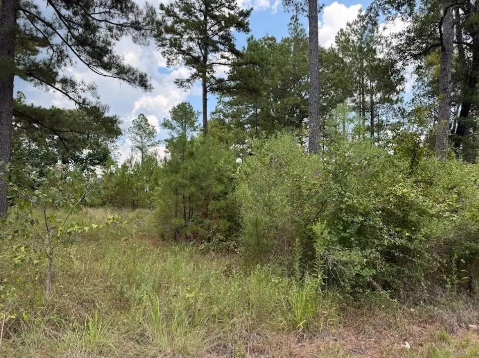 0 Hwy 157, Benton, LA 71006 - #1