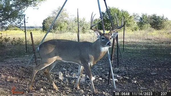 2401 County Road 382, Carlton, TX 76436
