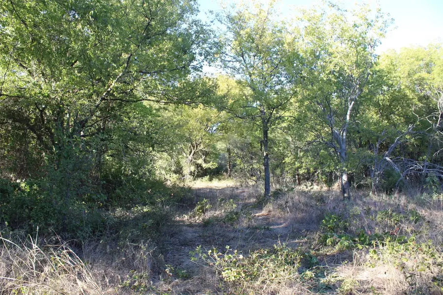 000 Eureka School Road, Nocona, TX 76255 - #3